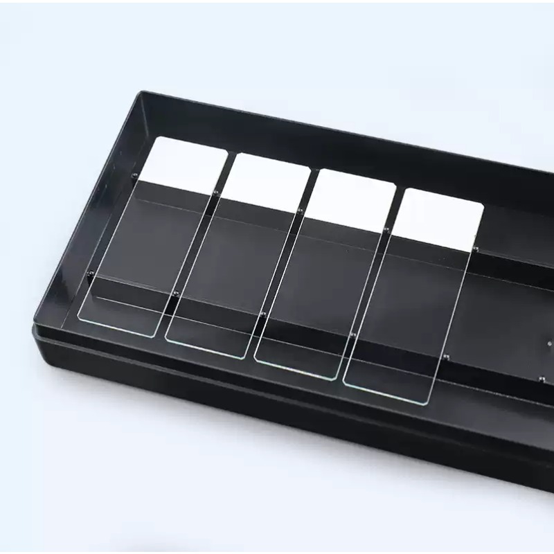 Lab Incubator - Caja de Humedad Transparente/Negra para Portaobjetos,