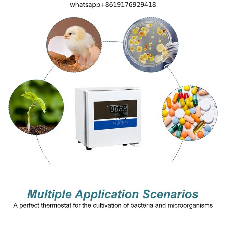 Mini termostato de laboratorio - Lab Incubator reseña y precio