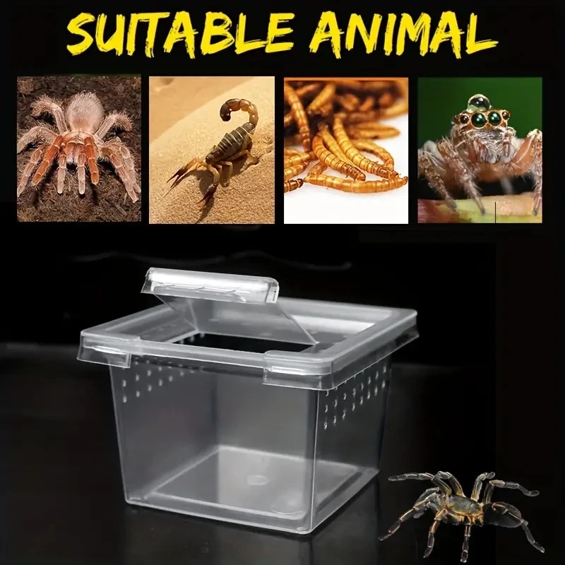 Caja de alimentación de 10 jau - Lab Incubator reseña y precio